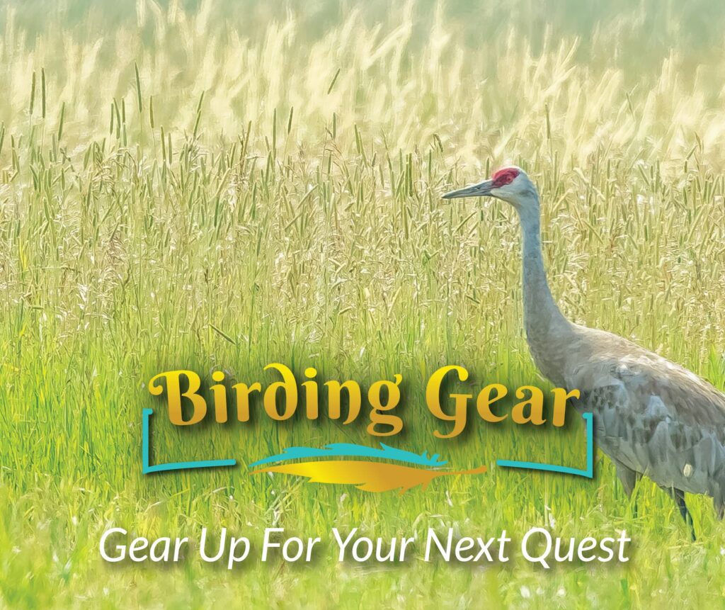 Birding Gear – Gear Up For Your Next Quest