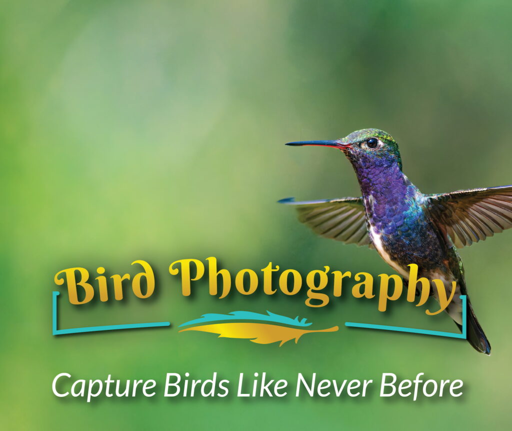 Bird Photography – Capture Birds Like Never Before (mobile header with a hummingbird in flight).