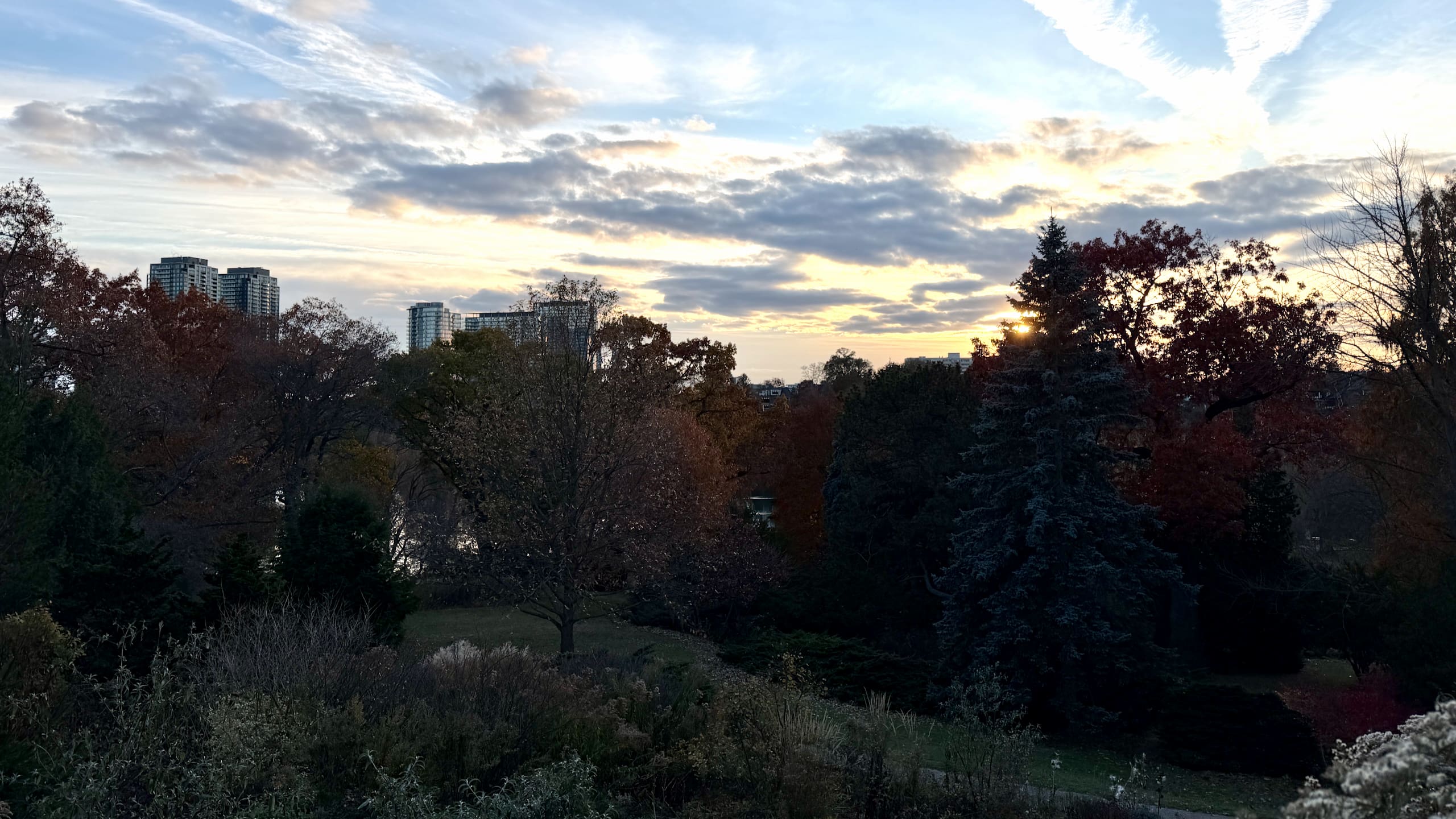 Sunset over High Park with the Toronto skyline