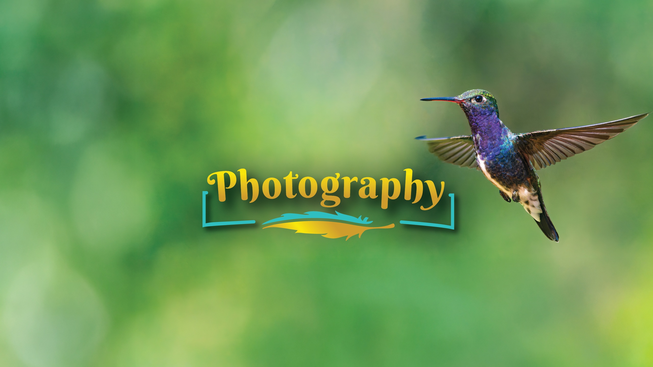 Bird Photography – Capture Birds Like Never Before (mobile header with a hummingbird in flight).